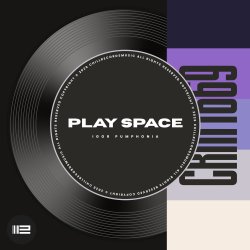 Мұқаба Igor Pumphonia - Play Space
