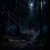Мұқаба Ведьмина гора - Чёрный лес Ведьмина гора - Чёрный лес