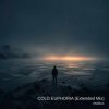 Мұқаба ViTaLiKuS - COLD EUPHORIA (Extended Mix) ViTaLiKuS - COLD EUPHORIA (Extended Mix)