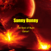 Мұқаба Sunny Bunny - The Best of Ryan Ganar! Sunny Bunny - The Best of Ryan Ganar!