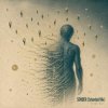 Мұқаба ViTaLiKuS - SONDER (Extended Mix) ViTaLiKuS - SONDER (Extended Mix)