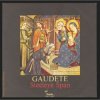 Мұқаба Steeleye Span - Gaudete Steeleye Span - Gaudete