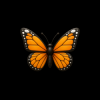 Мұқаба Серёжа Смоуказ и tred honey - День ок 2 Серёжа Смоуказ и tred honey - День ок 2