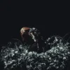 Мұқаба Kami Kehoe - THE END Kami Kehoe - THE END