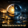 Мұқаба DJ FORTUNA - No Black Stripe Can Ever Hide The Light DJ FORTUNA - No Black Stripe Can Ever Hide The Light