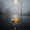 Мұқаба Роман - ОСЕНЬ Роман - ОСЕНЬ