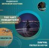 Мұқаба ZAVYAL - Пепел в ночи ZAVYAL - Пепел в ночи