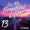 DJ FORTUNA - Its My Beautiful Life 13