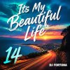 DJ FORTUNA - Its My Beautiful Life 14
