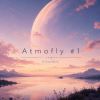 DISANDIE - Atmofly #1