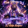 Мұқаба DJ Katya Kadykov - Кото - Ракамакафло DJ Katya Kadykov - Кото - Ракамакафло