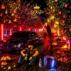Мұқаба DJ KAIFAR - В садах DJ KAIFAR - В садах