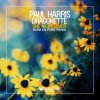 Мұқаба Paul Harris, Dragonette - One Night Lover (Nora En Pure Instrumental Club Mix) Paul Harris, Dragonette - One Night Lover (Nora En Pure Instrumental Club Mix)