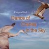 Мұқаба EnigmaBird - Dance of Cranes in the Sky EnigmaBird - Dance of Cranes in the Sky