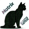 DJ Katya Kadykov - Matrix (minatrix_edition)