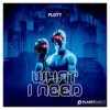FLGTT - What I Need