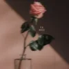 Мұқаба Mia Martina - Tu Me Manques Mia Martina - Tu Me Manques