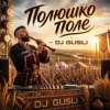 Portada DJ GUSLI - Полюшко-поле DJ GUSLI - Полюшко-поле