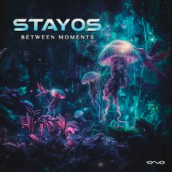 Мұқаба Stayos - Tov Li (Original Mix)