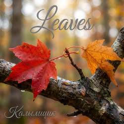 Мұқаба Калымщик - Leaves