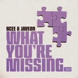 Мұқаба BCee & Javeon - What You're Missing
