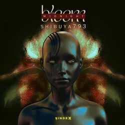 Мұқаба Shibuya793 - New Moon