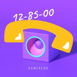 Мұқаба Хамелеон - Математика