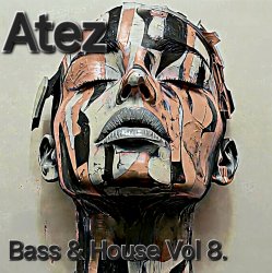 Мұқаба Bass House Vol 8.