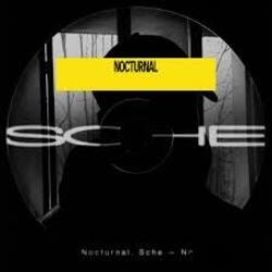 Мұқаба Sche - N Y 0.2