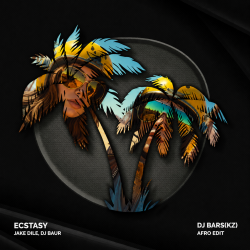 Мұқаба Ecstasy (DJ Bars(Kz) Afro Edit)
