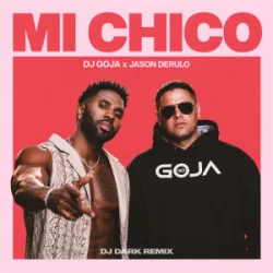 Мұқаба Dj Goja & Jason Derulo - Mi Chico (Dj Dark Remix)
