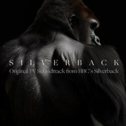 Мұқаба Silverback - Aventador