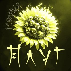 Мұқаба Плуг - Молния