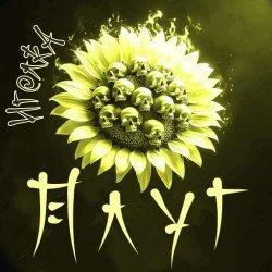 Мұқаба Плуг - Иголка