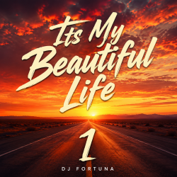 Мұқаба DJ FORTUNA - Its My Beautiful Life 1