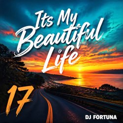 Мұқаба DJ FORTUNA - Its My Beautiful Life 17