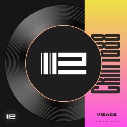 Мұқаба Igor Pumphonia - Visage
