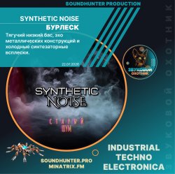 Мұқаба Synthetic Noise - Бурлеск