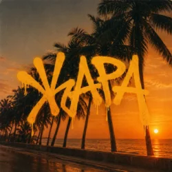 Мұқаба BARYK - Жара (KARMV REMIX)