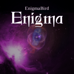 Мұқаба Enigma