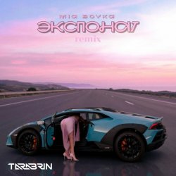 Мұқаба Экспонат (TARABRIN Radio Remix)