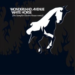 Мұқаба White Horse (the Sampler Electro House remix)