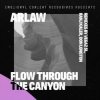 ARLAW - Flow Through The Canyon (VegaZ SL Remix)