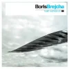 Мұқаба Boris Brejcha - Flying Bird Boris Brejcha - Flying Bird