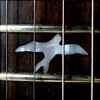 Мұқаба Caged Rhythm - The Return (Original Mix) Caged Rhythm - The Return (Original Mix)