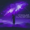 DJ Nowitzki - Voidglide (preview)