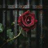 Мұқаба RJ Emerald Fire (Изумрудный огонь) - Prison of Love RJ Emerald Fire (Изумрудный огонь) - Prison of Love