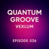 Мұқаба Vexlum - Quantum Groove 036 Vexlum - Quantum Groove 036