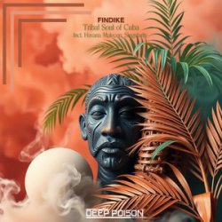 Мұқаба Findike - Tribes (Original Mix)