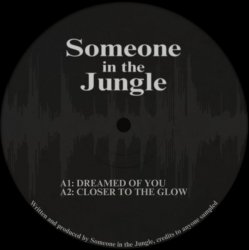 Мұқаба Someone in the Jungle - Gunshot